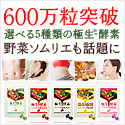 135種類の野菜と穀物を発酵・熟成した酵素サプリ